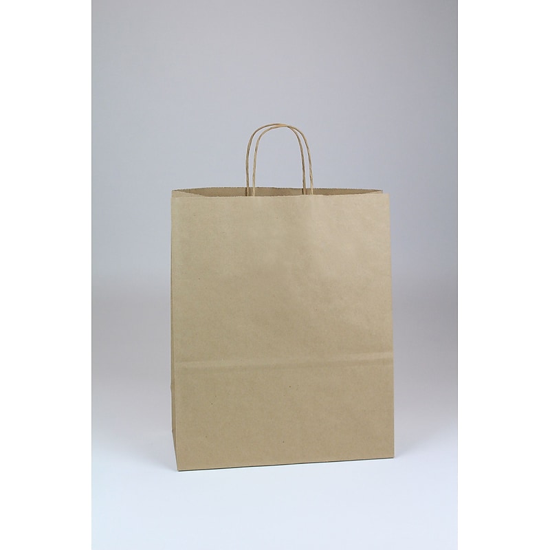 Escort Shopper 13" x 7" x 17" Kraft Paper Shopping Bags, Brown, 250/Carton (KRAFT13717) image 1