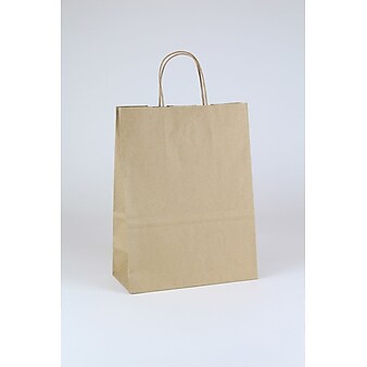 Lindsey Shopper 13" x 10" x 5" Kraft Paper Shopping Bags, Brown, 250/Carton (KRAFT10513)