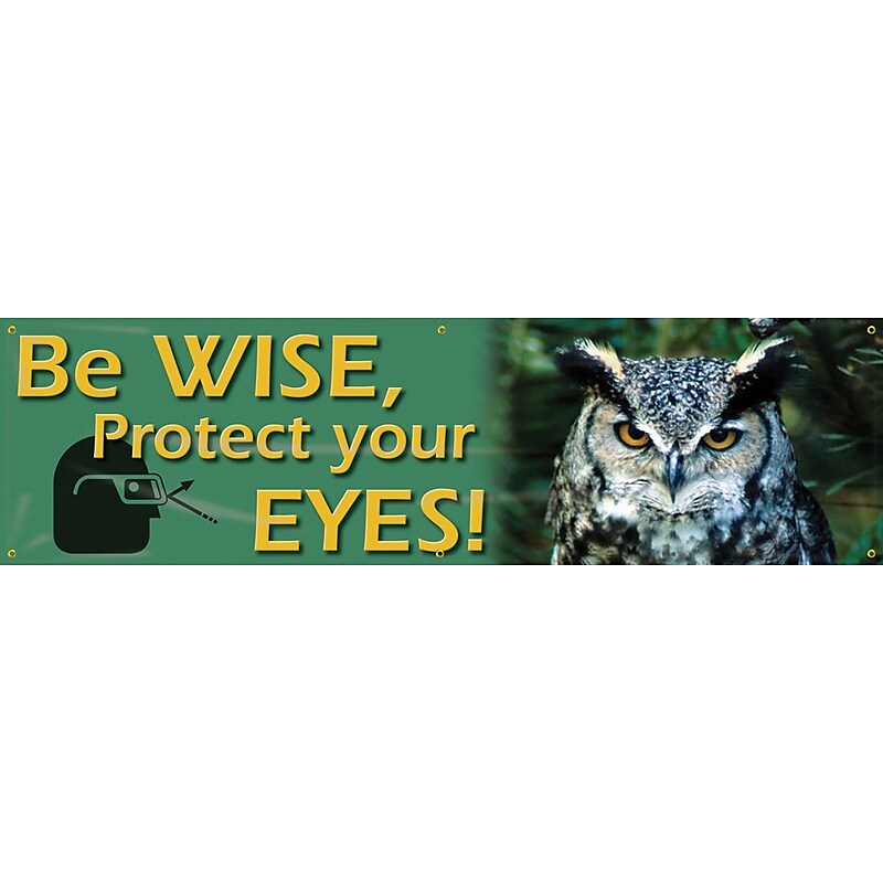 Accuform Motivational Safety Banner, BE WISE, PROTECT YOUR EYES!, 28" x 8', Reinforced Vinyl (MBR806) image 1