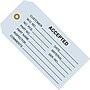 Staples - 4 3/4" x 2 3/8" - "Accepted (Blue)" Inspection Tag, 1000/Pack~#|#~s0964617_sc7