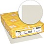 Neenah Paper Classic® 8 1/2" x 11" 24 lbs. Laid Writing Imaging Paper, Antique Gray, 500/Ream~#|#~s0976861_sc7