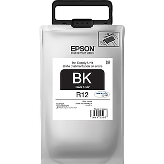 Epson R12 Black Standard Yield Ink Cartridge