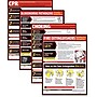 ComplyRight™ Lifesaving Posters; 4 Poster Set, CPR, Choking, Bloodborne Pathogens, Fire Extinguisher (WR0242)~#|#~s1000947_sc7