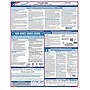 ComplyRight Federal Applicant Area Poster, English (E0076)~#|#~s1001815_sc7
