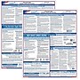 ComplyRight Federal Applicant Area Poster, Bilingual (E0076BIL)~#|#~s1001816_sc7