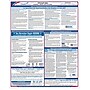 ComplyRight Federal Applicant Area Poster, Spanish (E0076S)~#|#~s1001817_sc7