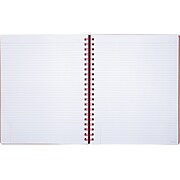 AT-A-GLANCE Twinwire Professional Notebook, 11" x 8 3/4", Wide Ruled, 80 Sheets, Tan/Red (YP141-07)