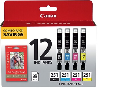 Canon 251 Black/Cyan/Magenta/Yellow Standard Yield Ink Cartridge, 12/Pack (6513B010) Sansujyuku sansujyuku.com