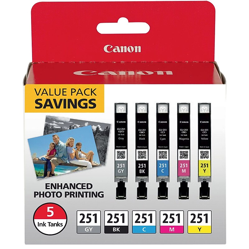 Canon 251 Black/Cyan/Magenta/Yellow/Gray Standard Yield Ink Cartridge, 5/Pack (6513B011) image 1