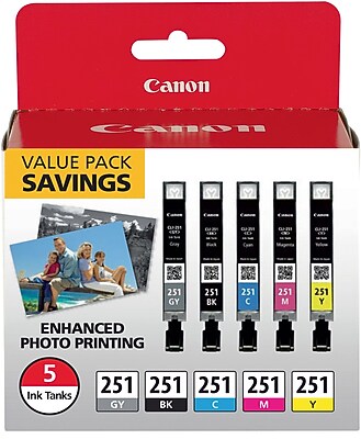 Canon 251 Black/Cyan/Magenta/Yellow/Gray Standard Yield Ink Cartridge, 5/Pack (6513B011) Sansujyuku sansujyuku.com