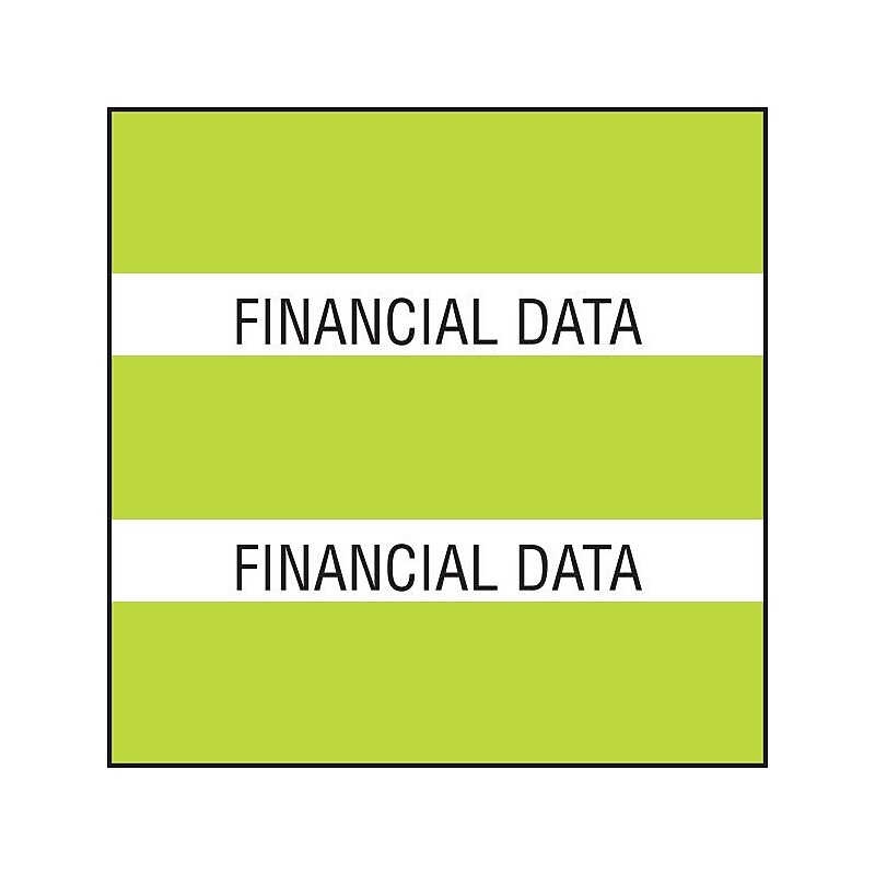 Medical Arts Press® Large Chart Divider Tabs, Financial Data, Lime image 1