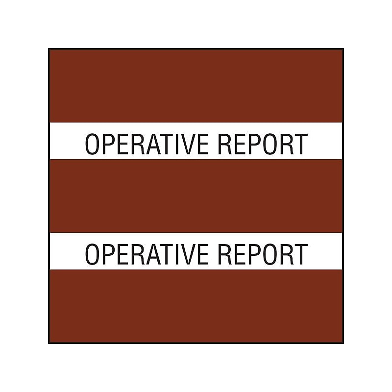 Medical Arts Press® Large Chart Divider Tabs, Operative Report, Brown image 1