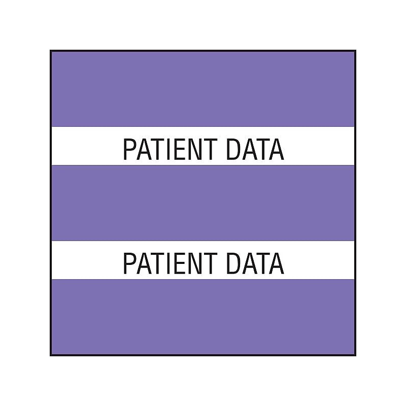 Medical Arts Press® Large Chart Divider Tabs, Patient Data, Purple image 1