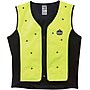 Ergodyne Chill-Its 6685 Dry Evaporative Cooling Vest, Lime, 4XL~#|#~s1025737_sc7