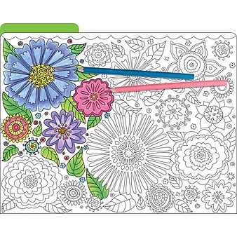 Barker Creek Color Me! In My Garden Decorative Letter-Sized File Folders, Multi-Design, 3-Tab, 12 per Package/4 Designs