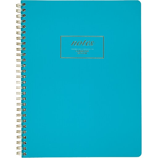Cambridge 1Subject Professional Notebooks, 7.25" x 9.5", Wide Ruled