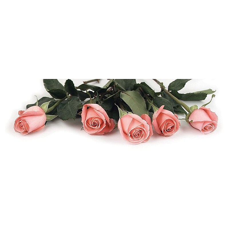 Great Papers! Pink Rose Petals Letterhead, Multicolor, 80/Pack (2013192) image 1