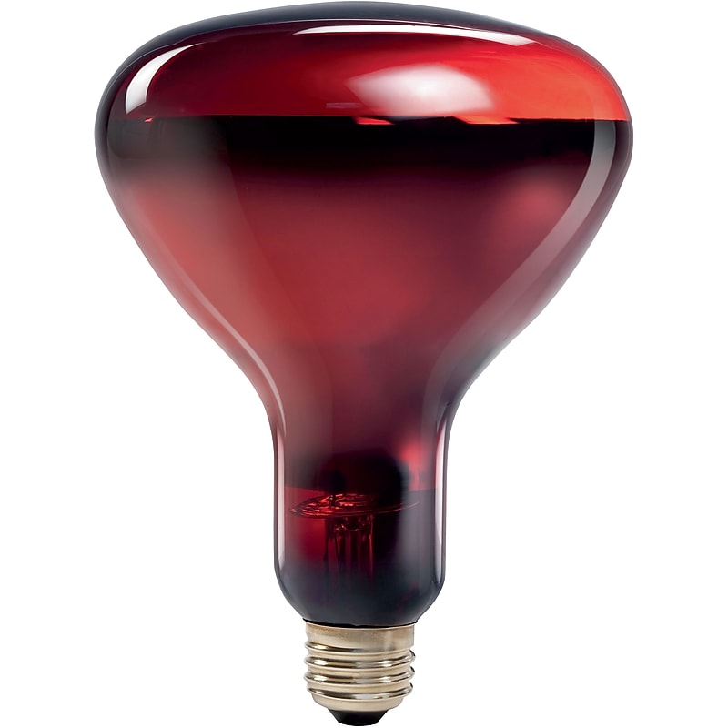 Philips Incandescent Heat Lamp, R40, 250 Watts, 4PK image 1
