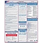ComplyRight Federal Applicant Area Poster, Spanish (E0076S)~#|#~s1047527_sc7