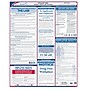 ComplyRight Federal Applicant Area Poster, English (E0076)~#|#~s1047528_sc7