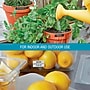 DYMO D1 1978367 Label Maker Tape, 1/2"W, Black on Orange~#|#~s1057524_sc7