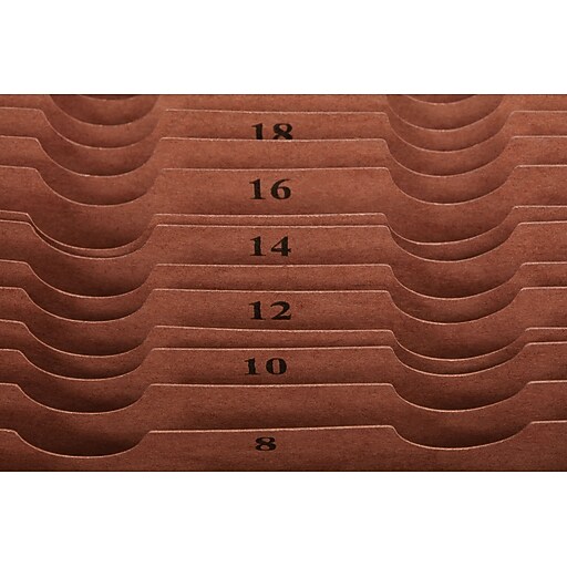 Staples® Accordion® LethaTone® Expanding Files, Letter, 131 Index