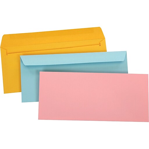 10 Envelope, Pastel 2 Assorted at Staples