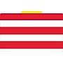 Barker Creek Buffalo Plaid & Wide Stripes File Folders, 1/3-Cut Tab, Legal Size, Assorted Colors, 9/Pack (BC2507)~#|#~s1077820_sc7
