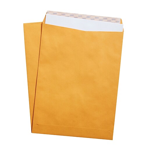 Staples EasyClose Kraft Catalog Envelopes, 9" x 12", Brown, 100/Box