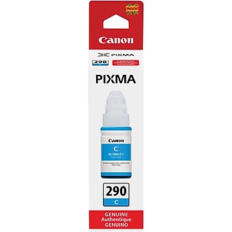 Canon 290 Cyan Standard Yield Ink Bottle (1596C001)