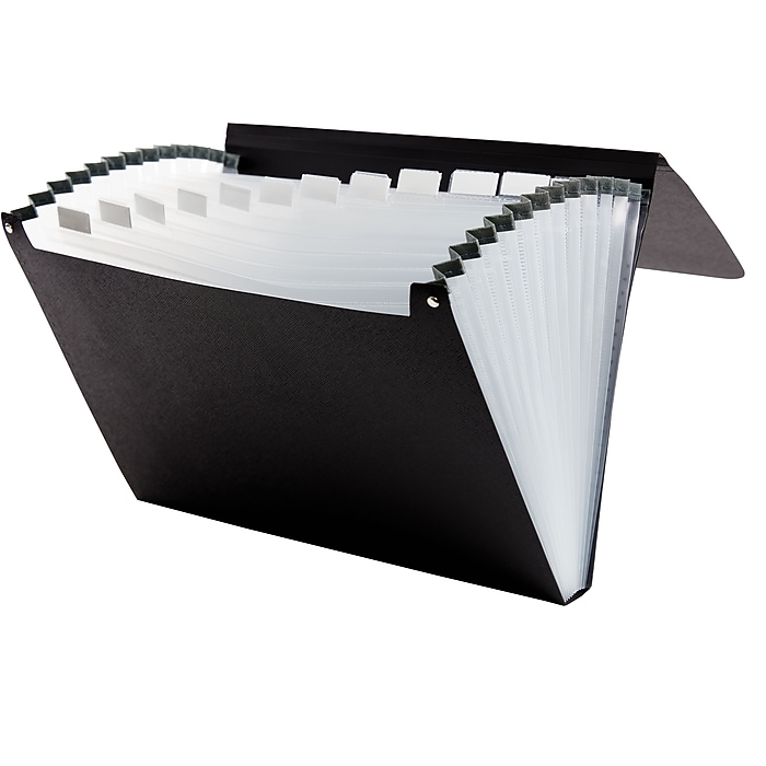 Staples Plastic 13-Pocket Reinforced Expanding Folder, Letter