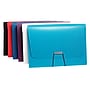 Staples Plastic 13-Pocket Reinforced Expanding Folder, Letter, Assorted (51808)~#|#~s1109607_sc7