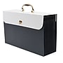 Staples 19 Pocket Document File, Legal, Grey (51791)~#|#~s1109783_sc7