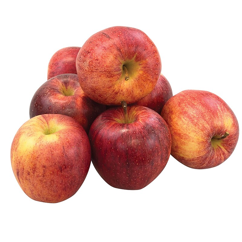 Fresh Gala Apples, 8/Pack (900-00032) image 1