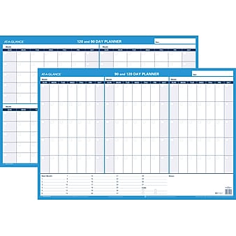 AT-A-GLANCE 90/120 Day Planner 24" x 36" Dry Erase Wall Calendar, Reversible, Blue (PM239P-28)