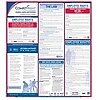 Labor Law Posters