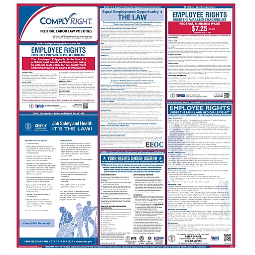 ComplyRight™ Federal Labor Law Poster, English (ERFED) at Staples