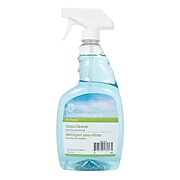 Sustainable Earth by Staples® Glass Cleaner, Ready To Use, 32 oz (SEB61032RTU-CC)