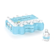 True Clear Purified Bottled Water, 8 Fl. Oz. Bottles, 24/Carton (TC54595)