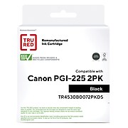 TRU RED™ Remanufactured Black Standard Yield Ink Cartridge Replacement for Canon PGI-225PGBK (4530B007), 2/Pack