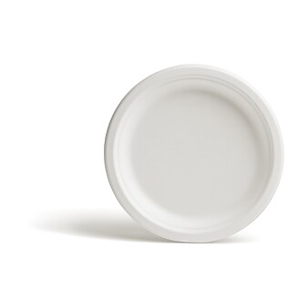 Perk™ PFAS-Free Compostable Paper Plates, 9", White, 250/Pack (PK61287)