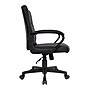 Staples Tervina Ergonomic Luxura Swivel Manager Chair, Black (56904V-CC)~#|#~s1164470_sc7