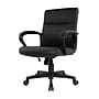 Staples Tervina Ergonomic Luxura Swivel Manager Chair, Black (56904V-CC)~#|#~s1164476_sc7