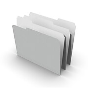 TRU RED™ File Folders, 1/3 Cut, Letter Size, Gray, 100/Box (TR433664)