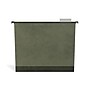 TRU RED™ Premium Hanging File Folder, 5-Tab, Legal Size, Standard Green, 20/Pk (TR45539)~#|#~s1166679_sc7