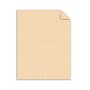Southworth Parchments 8.5" x 11" Multipurpose Paper, 24 Lbs., 100 Brightness, Copper, 100/Box (P894CK/3/36)~#|#~s1175061_sc7