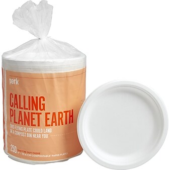 Perk™ PFAS-Free Compostable Paper Plates, 9", White, 250/Pack (PK61287)