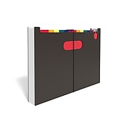 TRU RED™ Plastic Accordion File, 25-Pocket, Letter Size, Multicolor (TR45523)