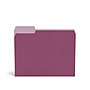 TRU RED™ File Folders, 3-Tab, Letter Size, Assorted Jewel Tone Colors, 24/Pack (TR58171)~#|#~s1178274_sc7