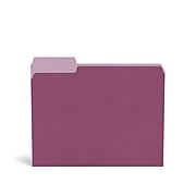 TRU RED™ File Folders, 3-Tab, Letter Size, Assorted Jewel Tone Colors, 100/Pack (TR58172)